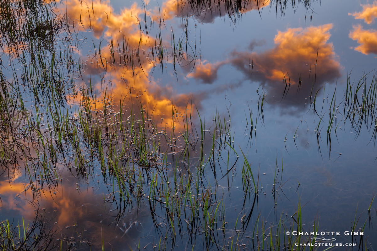 Tuolumne Meadows Reflected Sunrise