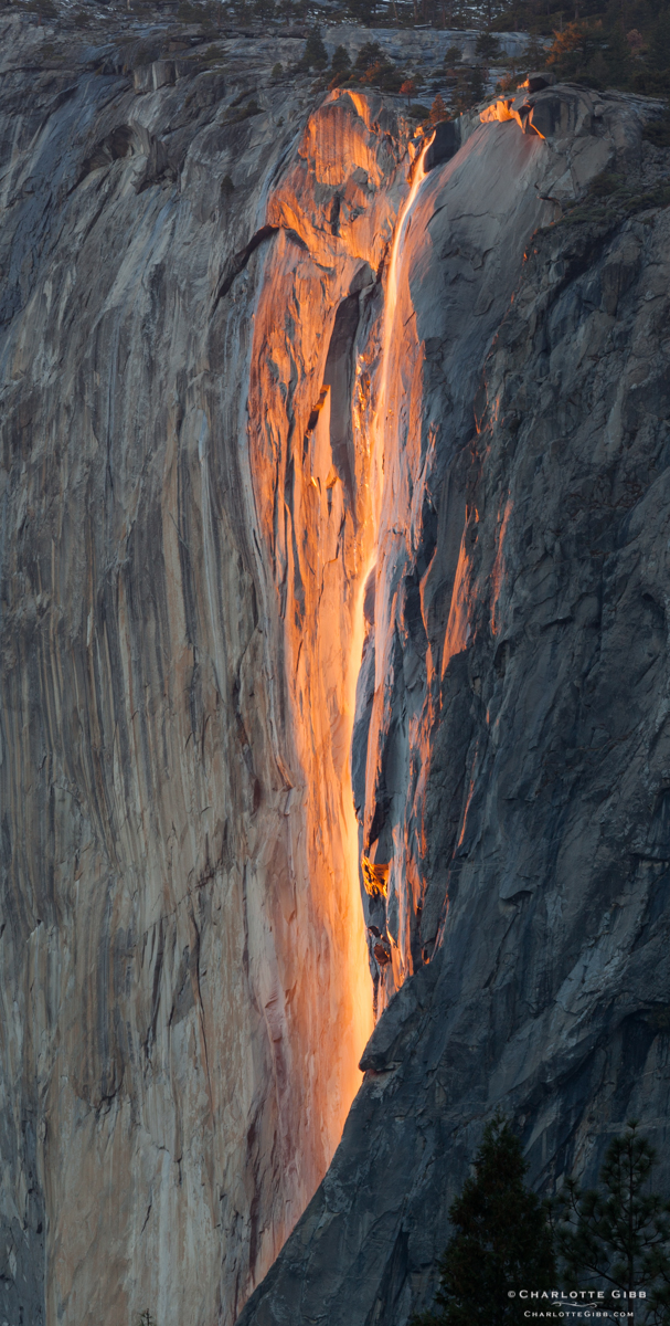 Horsetail Fall, full bloom, Feb. 2014