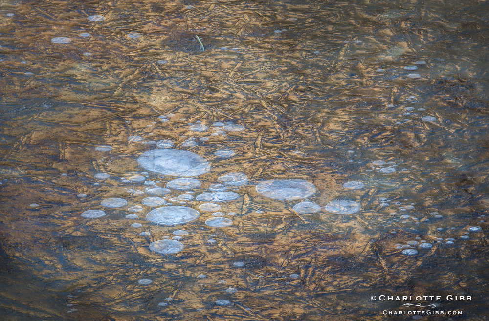 Ice & Bubbles (February 2014) - Winter Photography