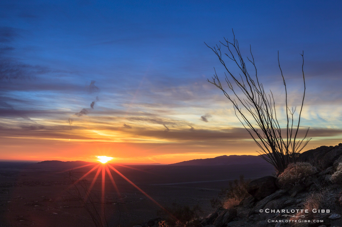 Desert Landscape Photography - Borrego Desert Sunrise 2014