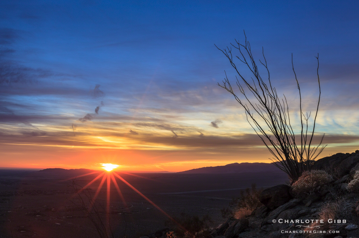 Borrego Desert Sunrise 2014