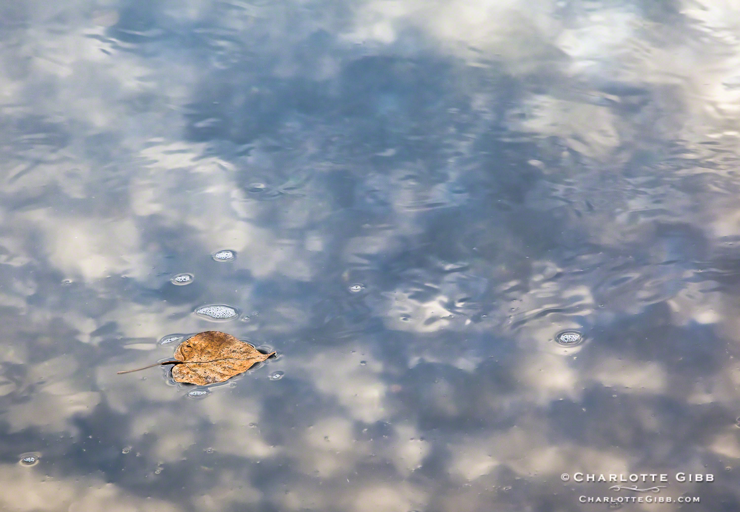 Winter Photography - Winker Sky Reflected with Leaf