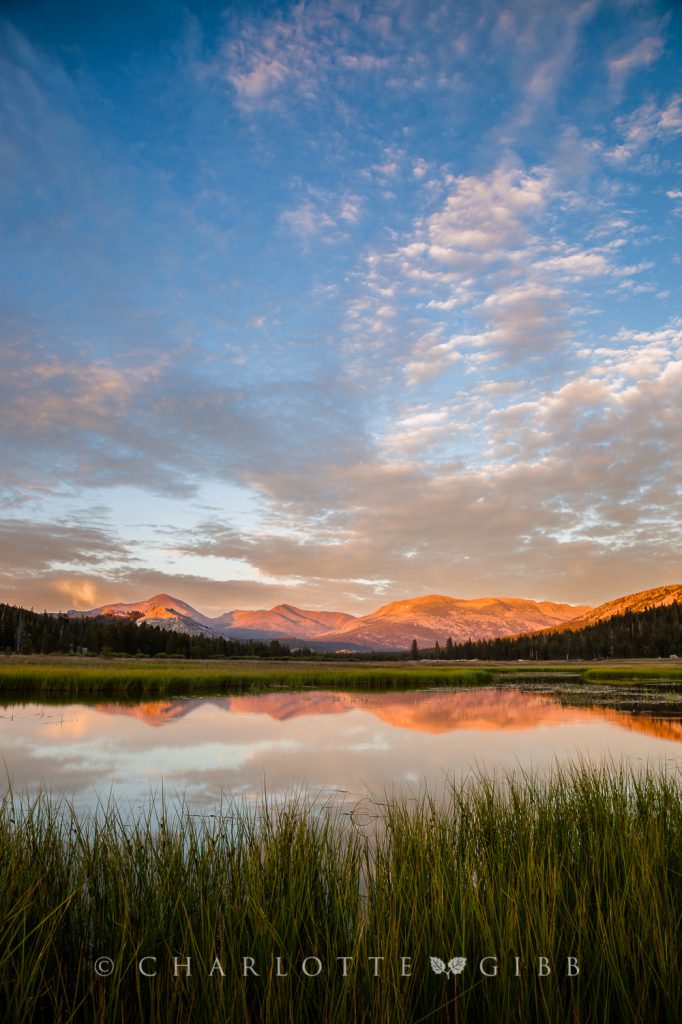 Tuolumne Meadows, Last Light, July 2014