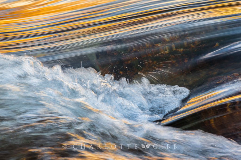 Rapids, Detail, Yosemite National Park, 2014