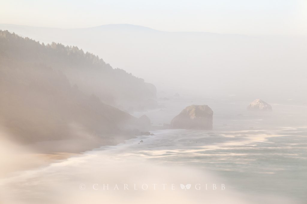 Sea Stacks in the Fog, North Coast, California, June 2014
