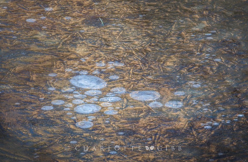 Abstract, Ice And Bubbles