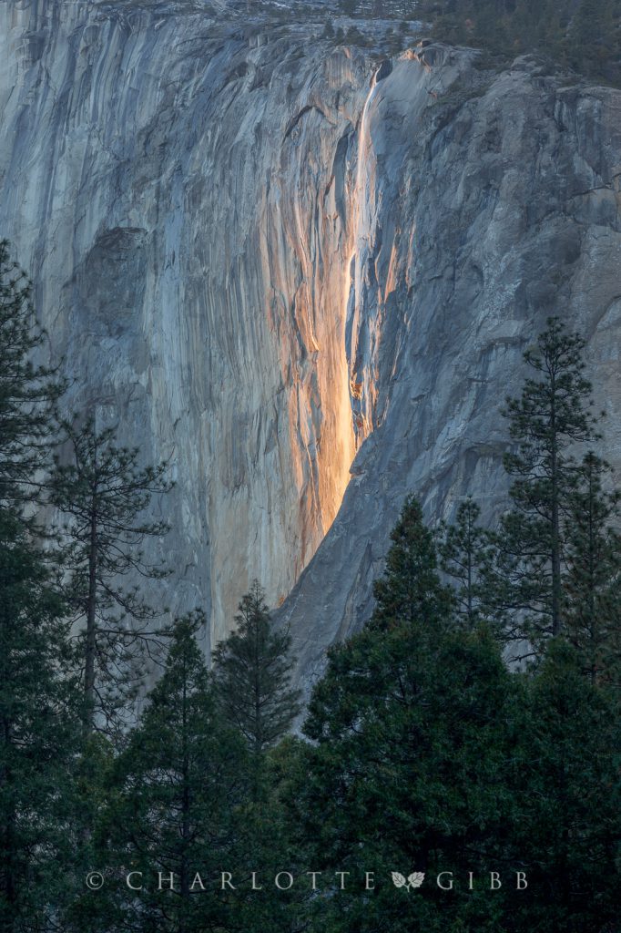 Horsetail Fall, February 2014