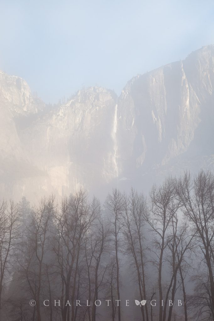 Upper Yosemite Fall and Trees in Mist, February, 2014