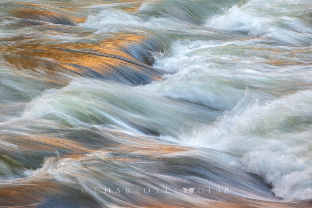 Rapids, Merced River, Yosemite National Park, May 2014