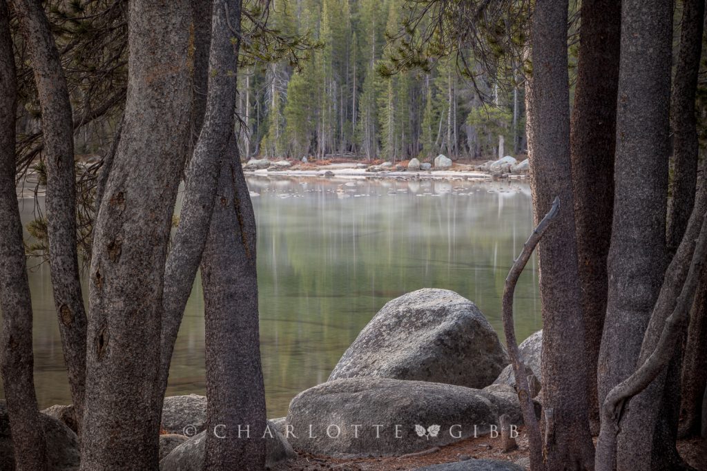 Window, Tenaya Lake, Yosemite National Park, October 2014