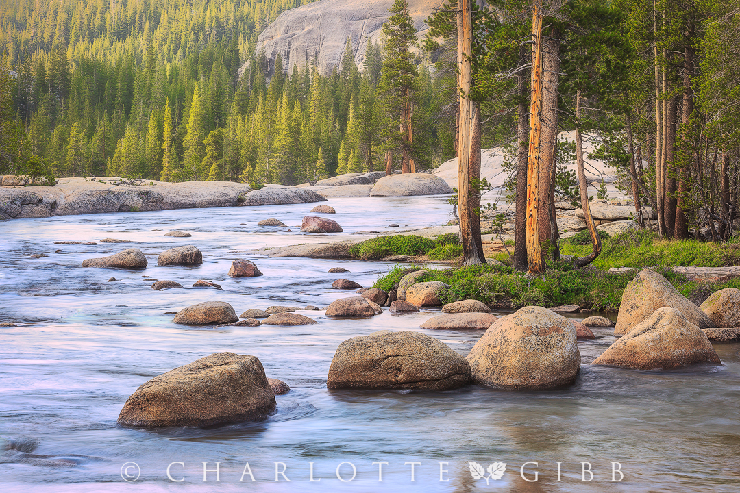 Lazy-Afternoon,-Tuolumne-River
