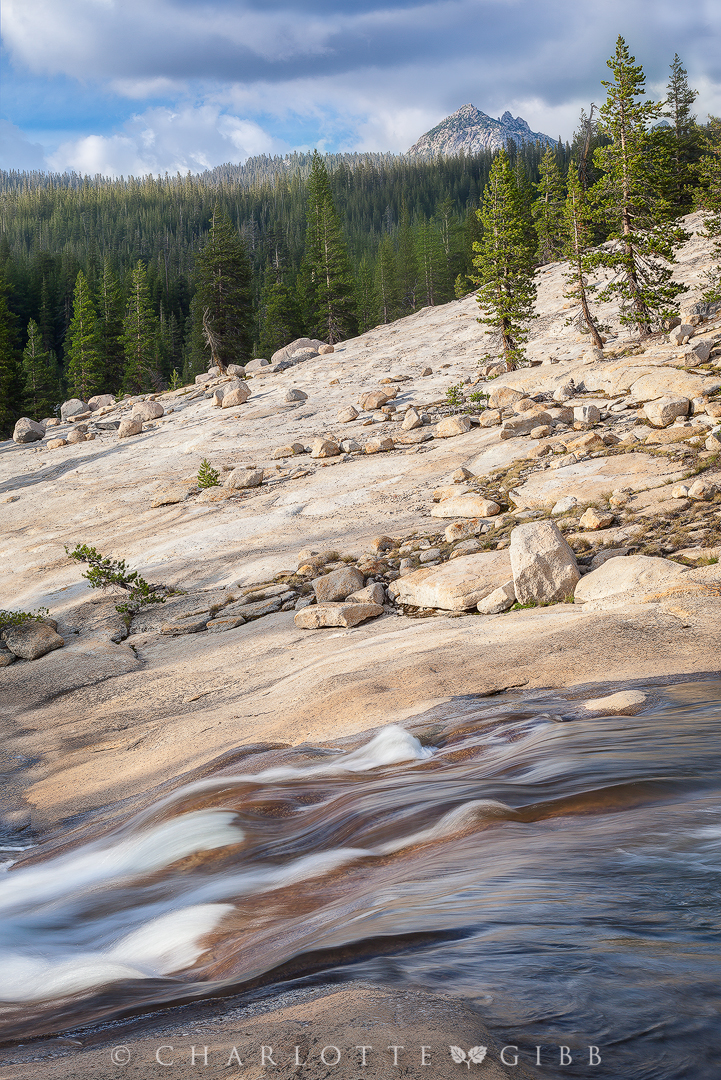 "Elements of Life", July 12, 2015, Yosemite National Park