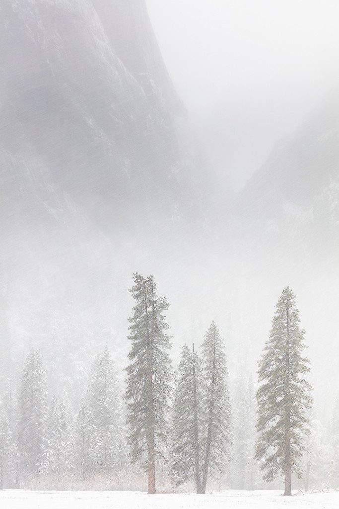 "Winter Arrives", January 31, 2016, Yosemite
