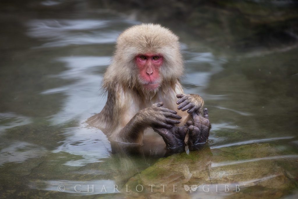 Bath Time