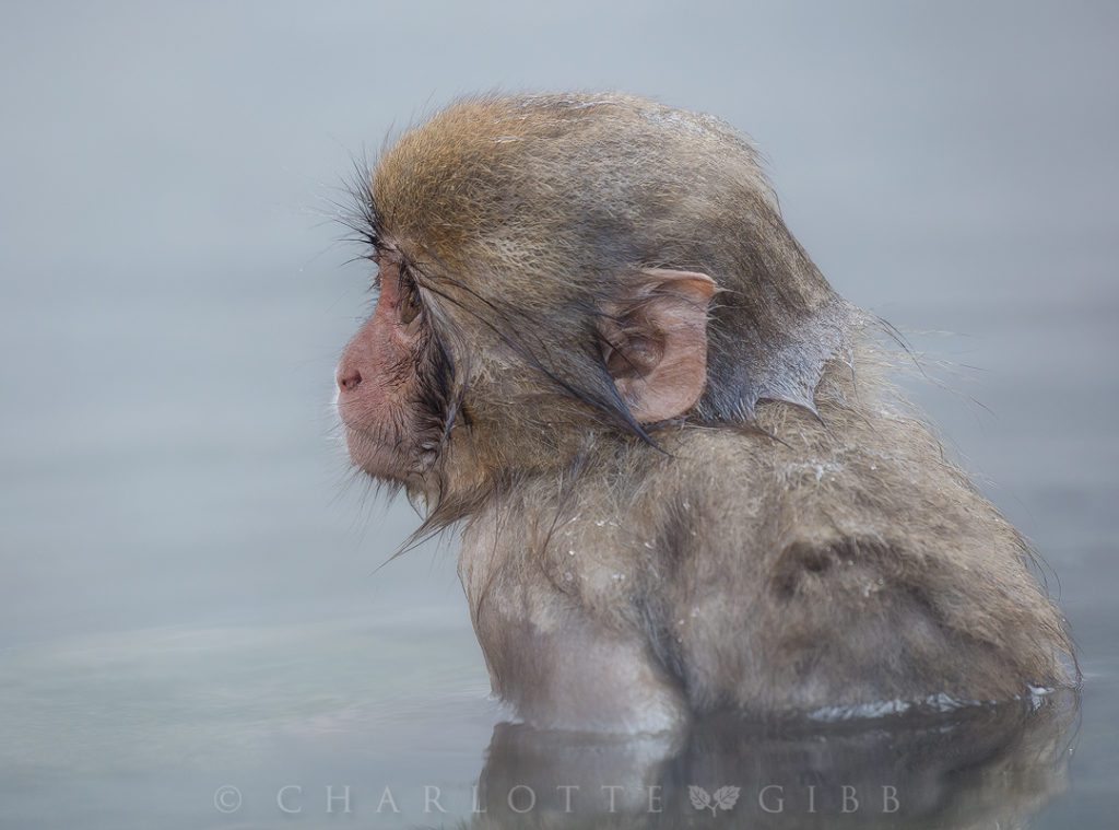 Swimming-Lesson