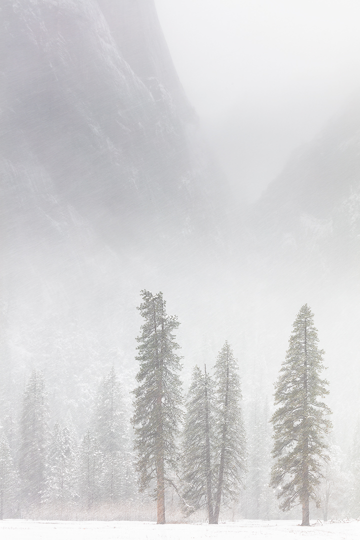 Winter Landscape Photography - Winter Arrives